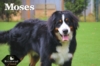 Moses_Sep18_9752