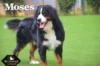 Moses_Sep18_9753