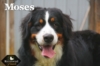 Moses_Sep18_9798